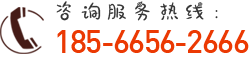 咨询热线:185-6656-2666